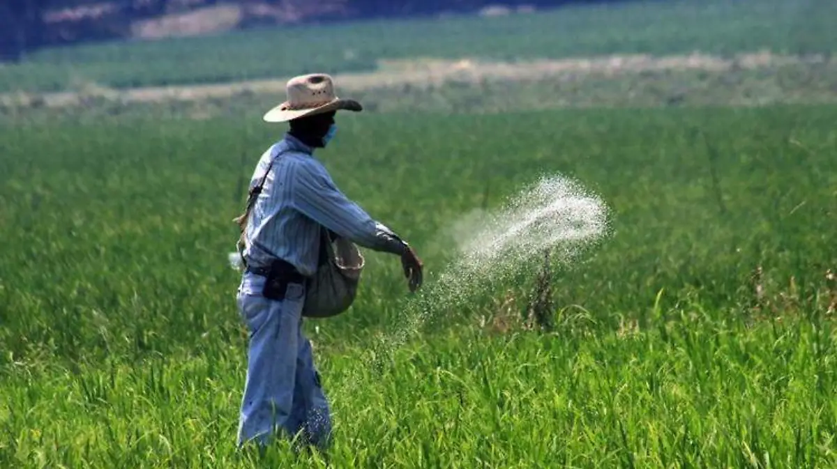 Producción de fertilizantes